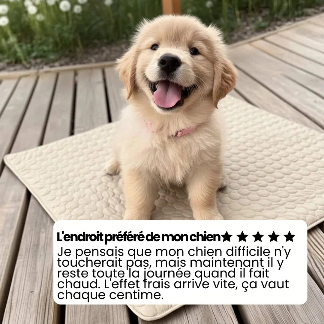 Tapis Rafraîchissant pour Chien ChillsDog™
