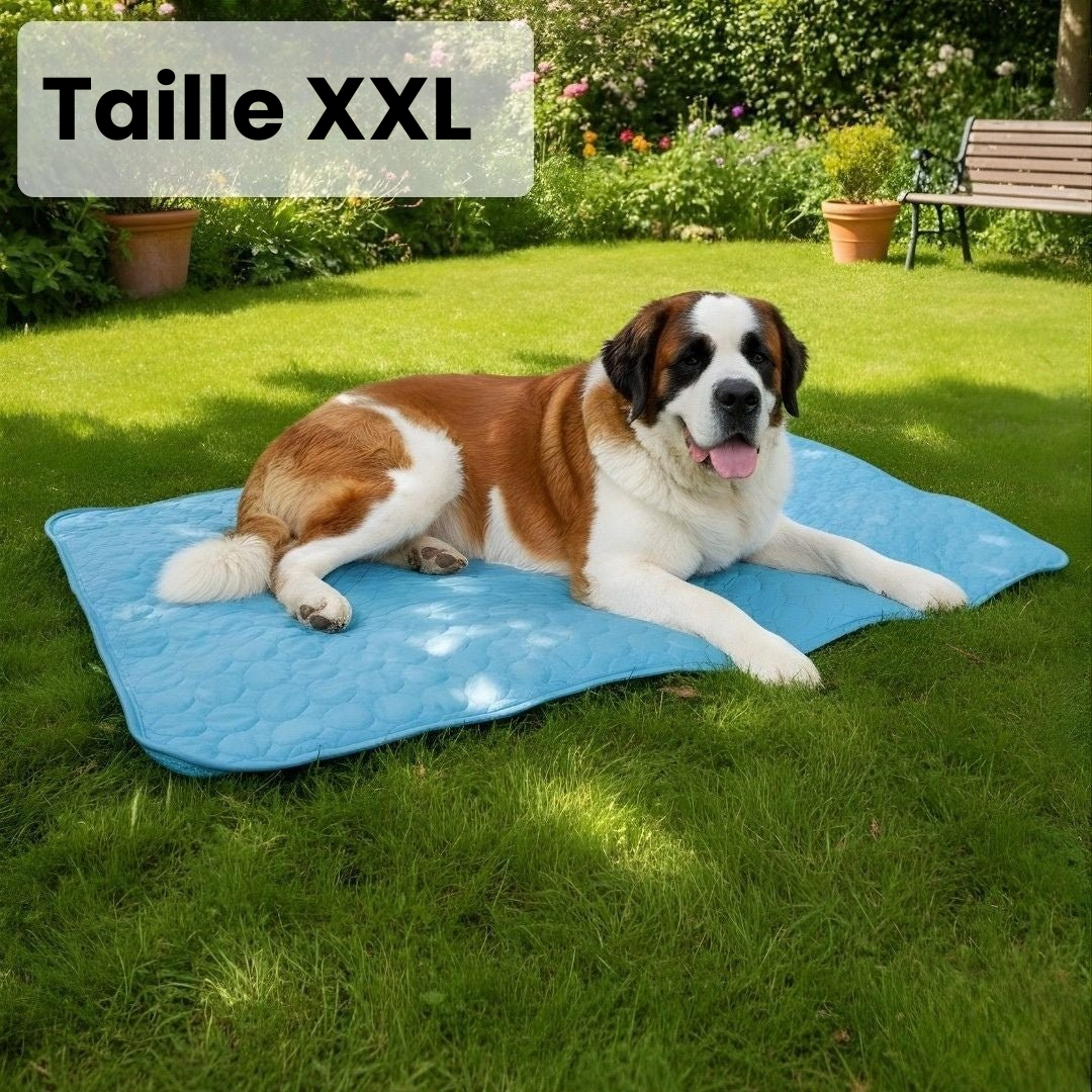 Tapis Rafraîchissant pour Chien ChillsDog™