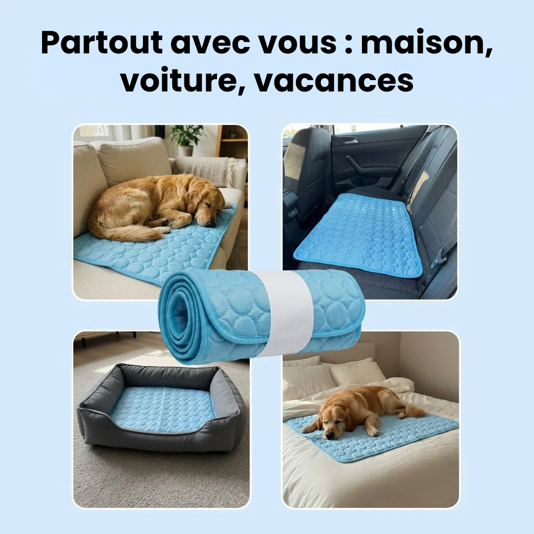 Tapis Rafraîchissant pour Chien ChillsDog™