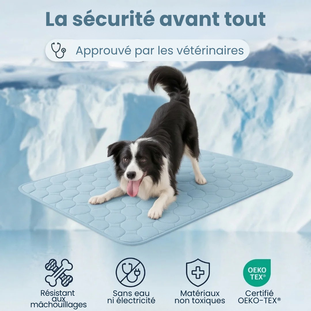 Tapis Rafraîchissant pour Chien ChillsDog™