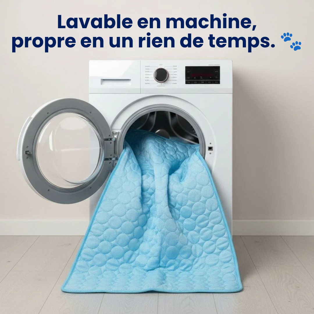 Tapis Rafraîchissant pour Chien ChillsDog™