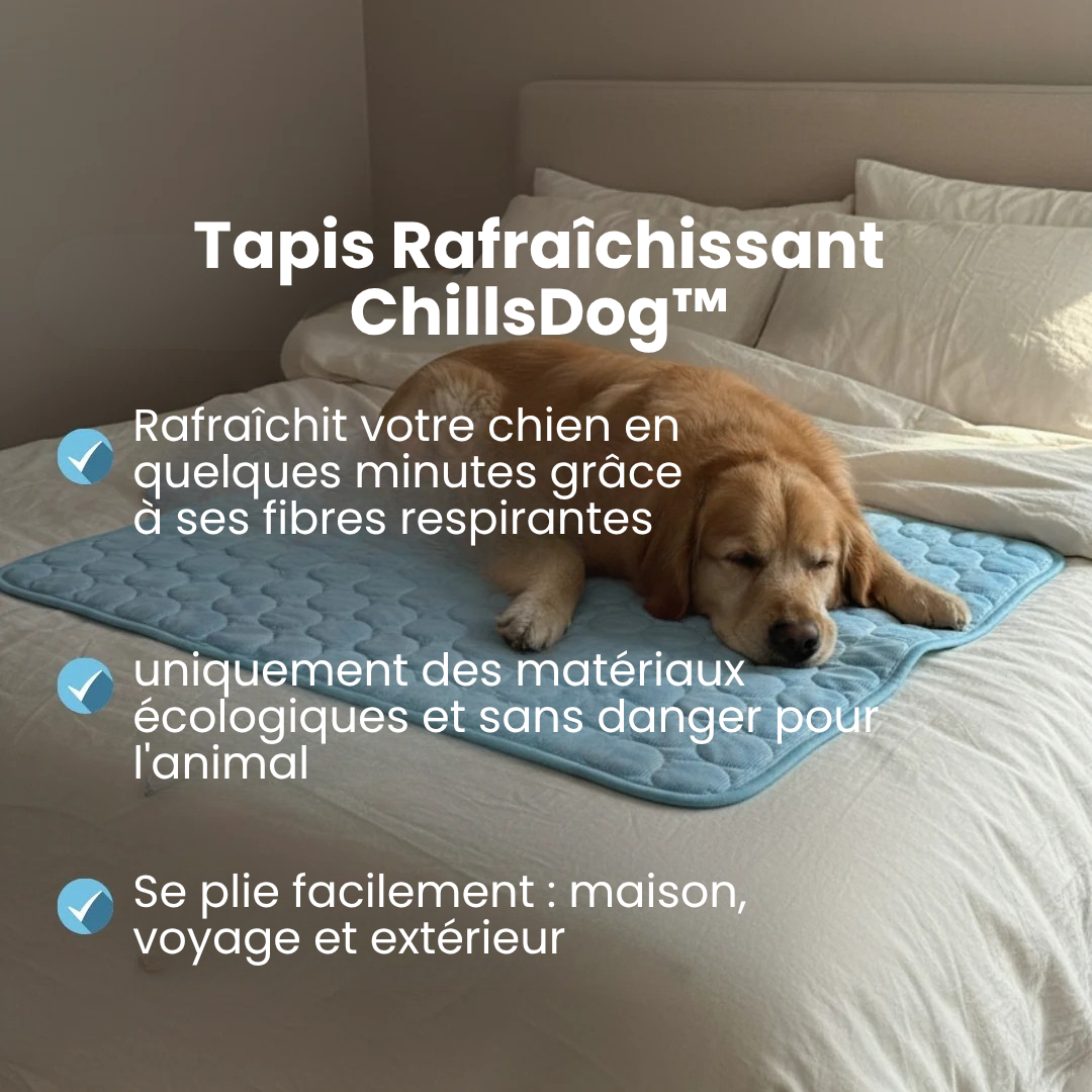 Tapis Rafraîchissant pour Chien ChillsDog™