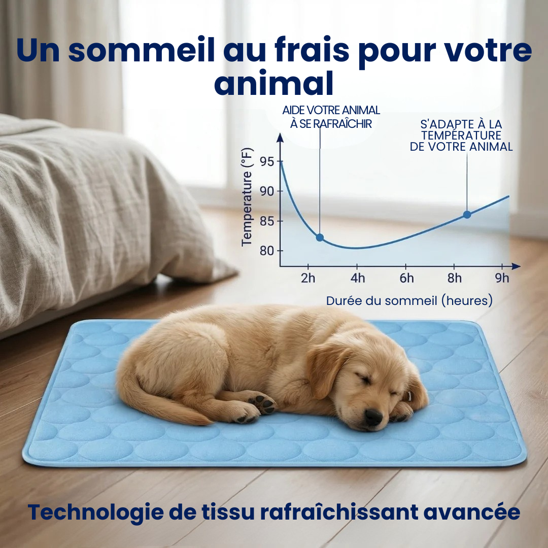 Tapis Rafraîchissant pour Chien ChillsDog™