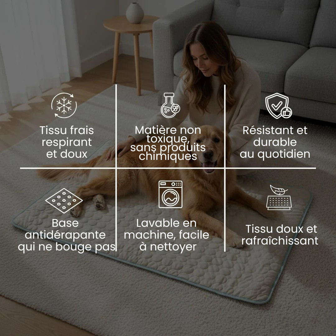 Tapis Rafraîchissant pour Chien ChillsDog™