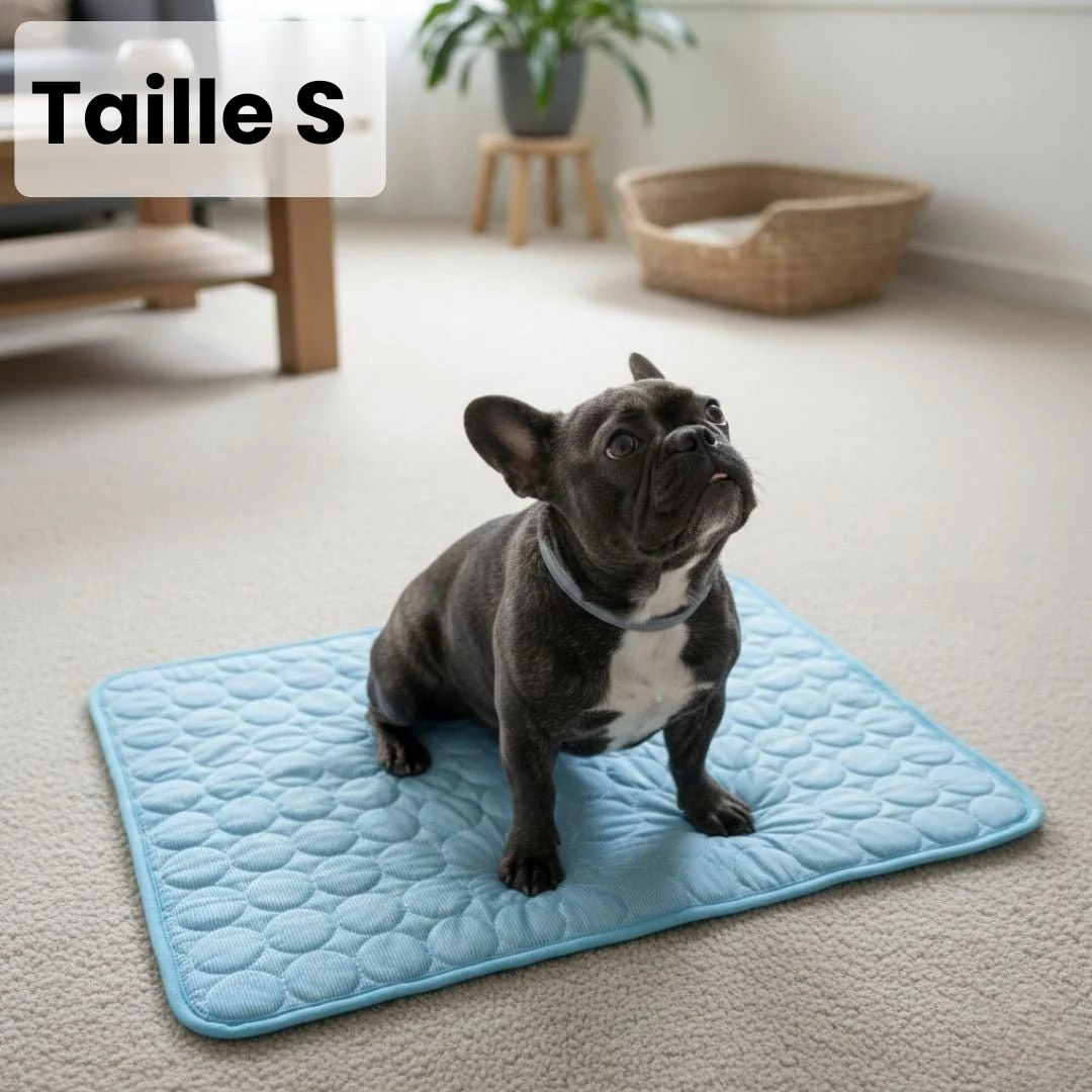 Tapis Rafraîchissant pour Chien ChillsDog™