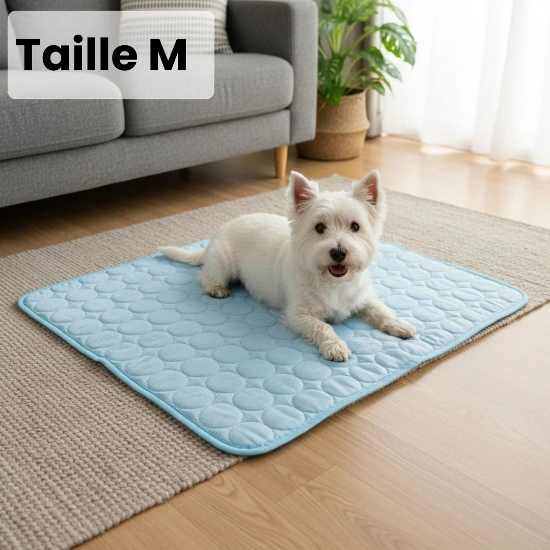Tapis Rafraîchissant pour Chien ChillsDog™