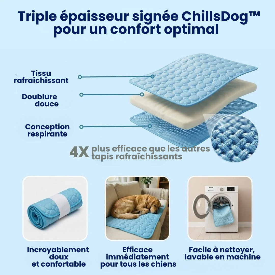 Tapis Rafraîchissant pour Chien ChillsDog™